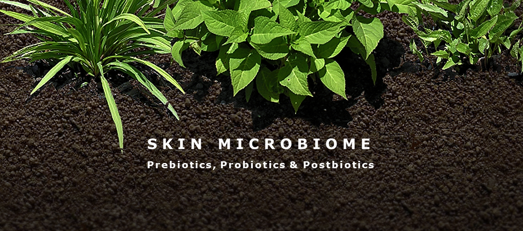 Skin Microbiome: The Dirty Little Secret