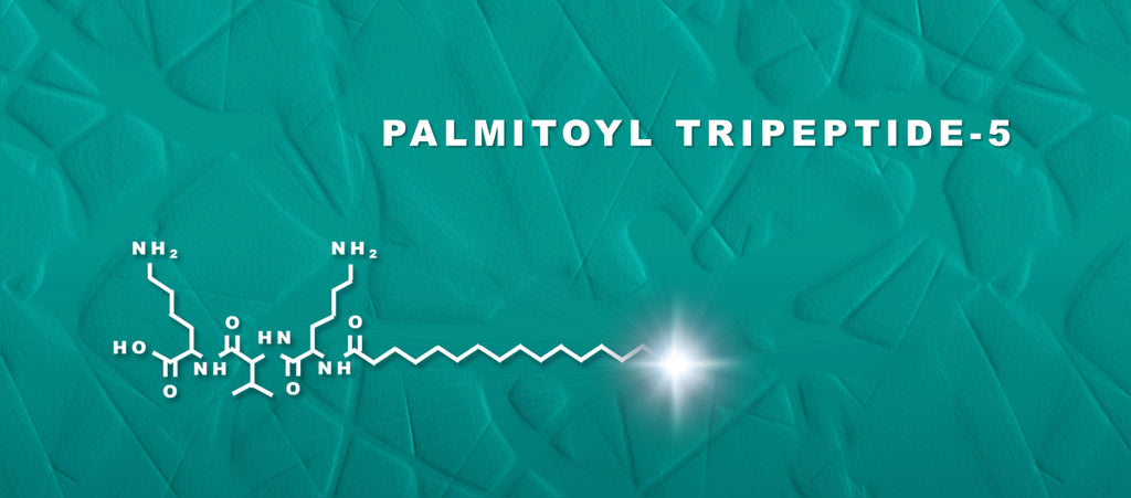 Focus: Palmitoyl Tripeptide-5