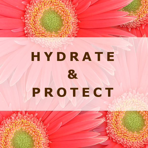 Hydrate &amp; Protect